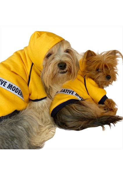 Yellow Modern Native Kapşonlu Sweat By Kemique Köpek Kazağı fiyatları