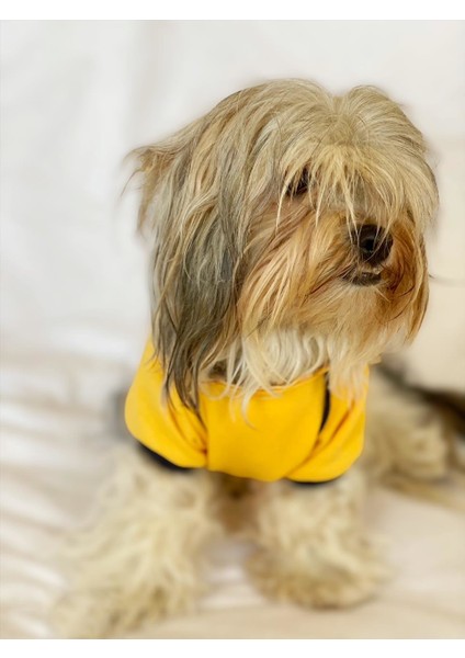 Yellow Modern Native Kapşonlu Sweat By Kemique Köpek Kazağı indirimleri