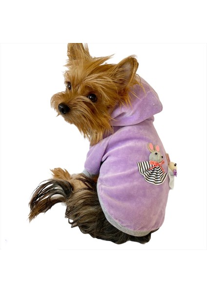 Bunny Baby Kapşonlu Sweat By Kemique Köpek Kazağı
