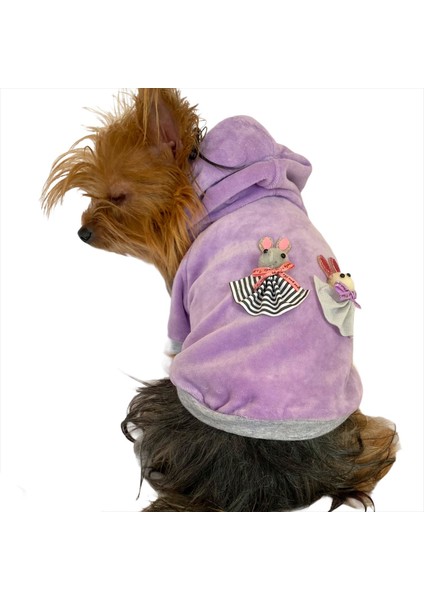 Bunny Baby Kapşonlu Sweat By Kemique Köpek Kazağı fiyatları