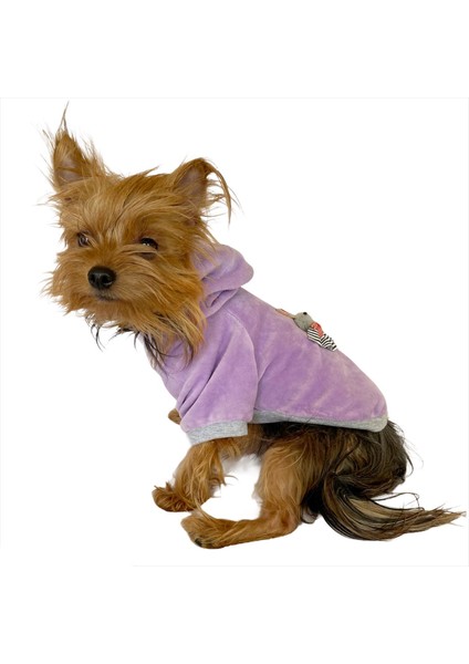 Bunny Baby Kapşonlu Sweat By Kemique Köpek Kazağı modelleri