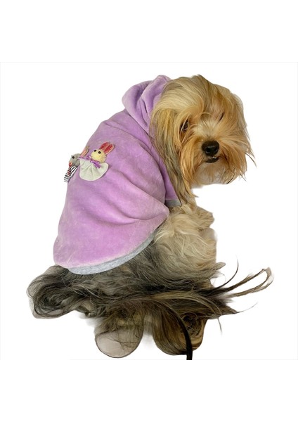 Bunny Baby Kapşonlu Sweat By Kemique Köpek Kazağı fırsatları