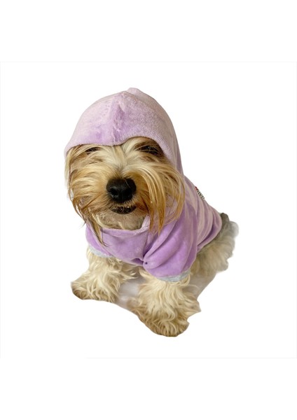 Bunny Baby Kapşonlu Sweat By Kemique Köpek Kazağı indirimleri