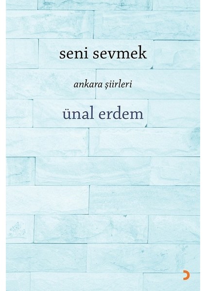 Seni Sevmek - Ünal Erdem