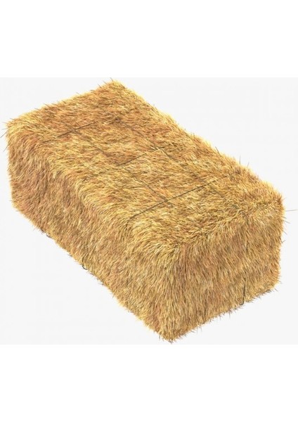 Cadılar Bayramı Saman Balyası Dekor Süs 20-23 kg (Gerçek Saman)