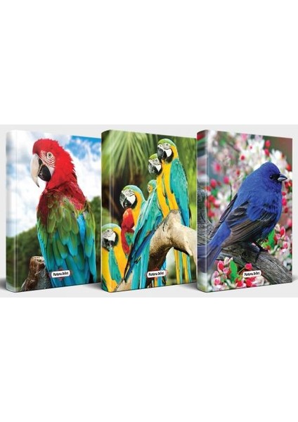 Sevimli Hayvanlar Defter Seti 3'lü