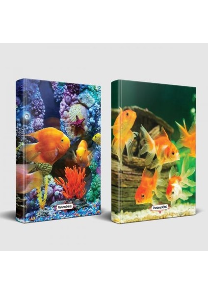 Sevimli Hayvanlar Defter Deniz Sakinleri ve Balık Ailesi