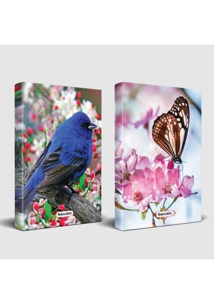 Sevimli Hayvanlar Defter Kuş Bakışı ve Kelebek Etkisi