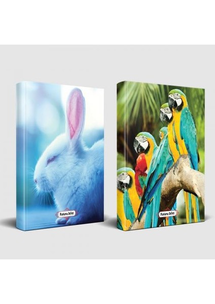 Sevimli Hayvanlar Defter Uykucu Tavşan ve Papağan Ailesi