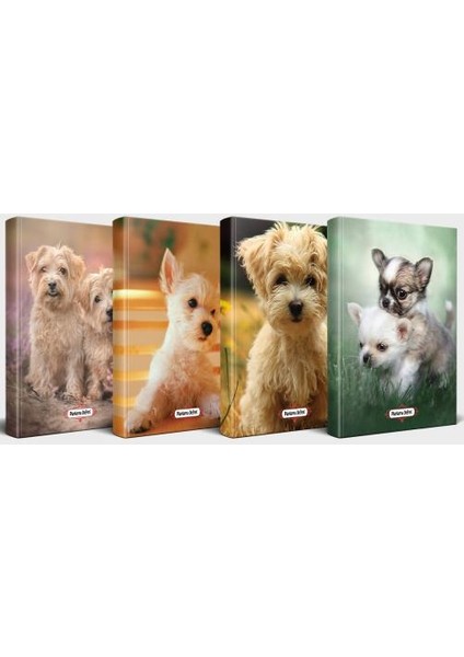 Köpek Temalı Defter Seti 4'lü V1