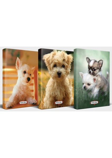 Köpek Temalı Defter Seti 3'lü V1