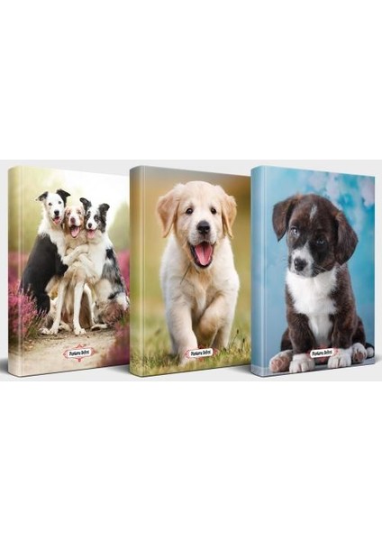Köpek Temalı Defter Seti 3'lü V3