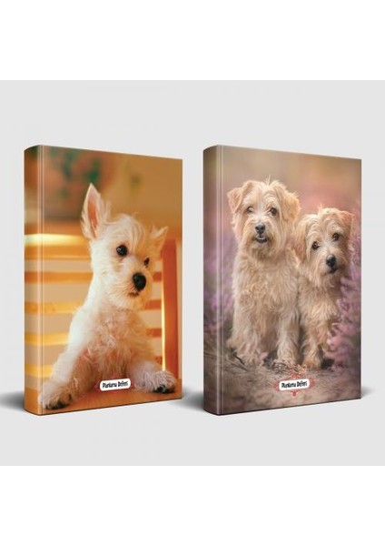 Köpek Temalı Defter Seti Beyaz Ikili ve Pamuk Şeker