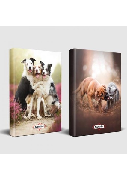Köpek Temalı Defter Seti Can Dostlar ve Neşeli Dostlar
