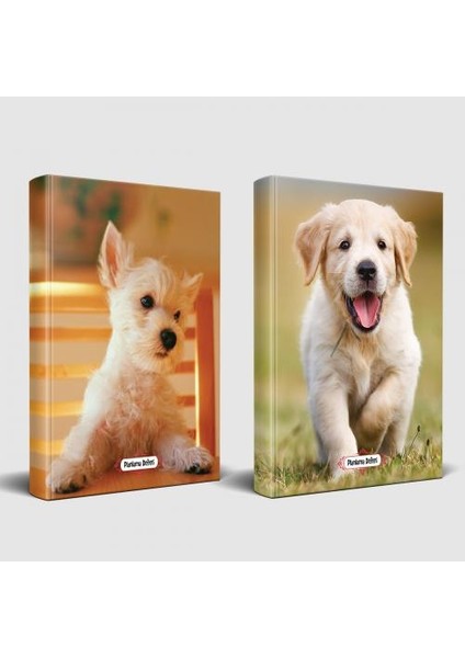 Köpek Temalı Defter Seti Pamuk Şeker ve Mutlu Prens