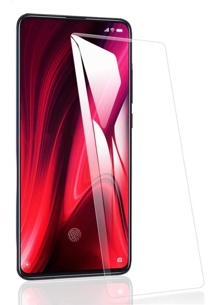 Samsung Galaxy A9 Pro 2019 Ekran Koruyucu Temperli Cam
