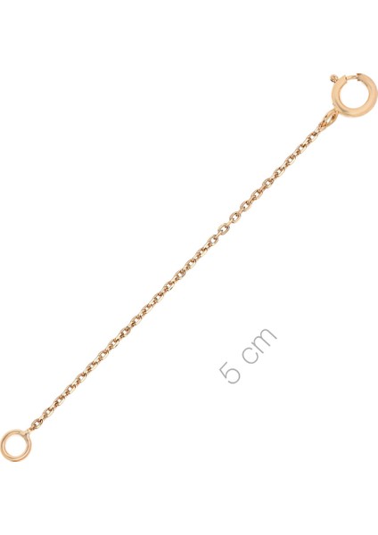 Rose Altın Kolye Uzatma Zinciri ASU01ZCR2 fiyatları