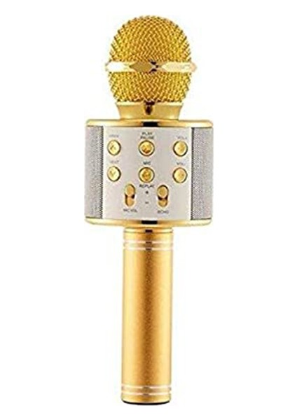 PG-116 WS858 Karaoke Mikrofon ve Bluetooth Speaker