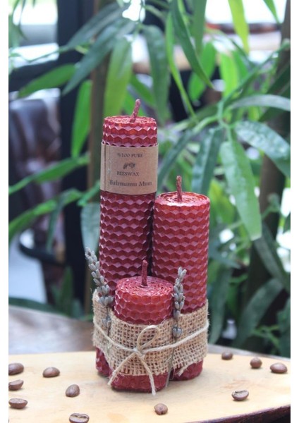 Balmumu Pastel modelleri