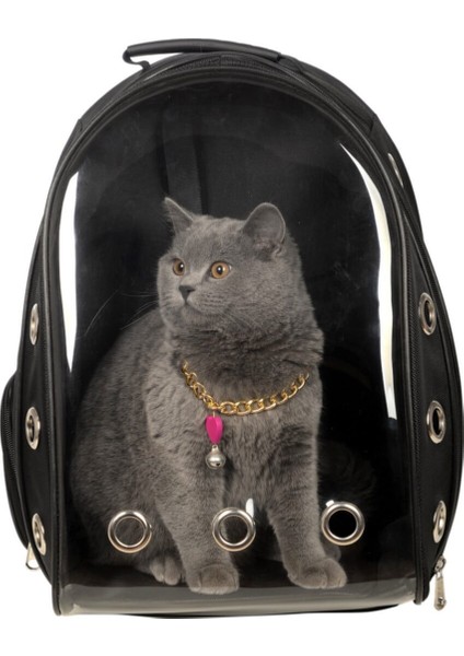 Şeffaf Astronot Kırılmaz Kedi Köpek Taşıma Çantası 42 x 22 x 33 cm - Siyah