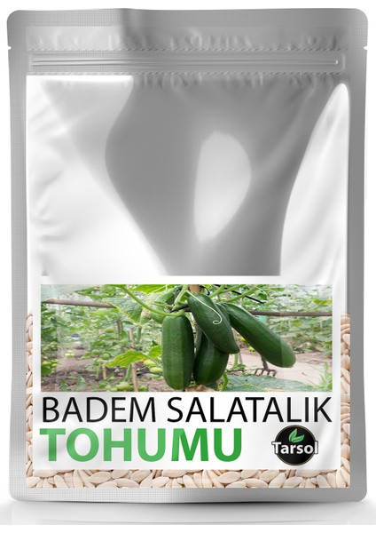 Badem Salatalık Tohumu Yüksek Verim 30 'lu