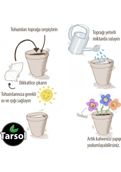 Crimson Sweet Karpuz Tohumu Yüksek Verim 30 'lu fiyatları