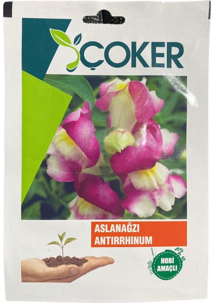 Aslanağzı Tohumu