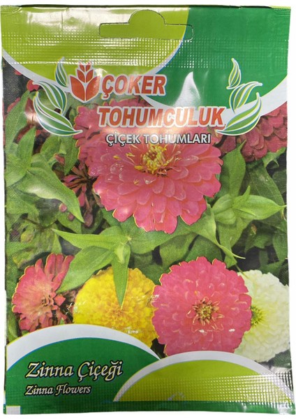 Zinna Çiçeği Tohumu