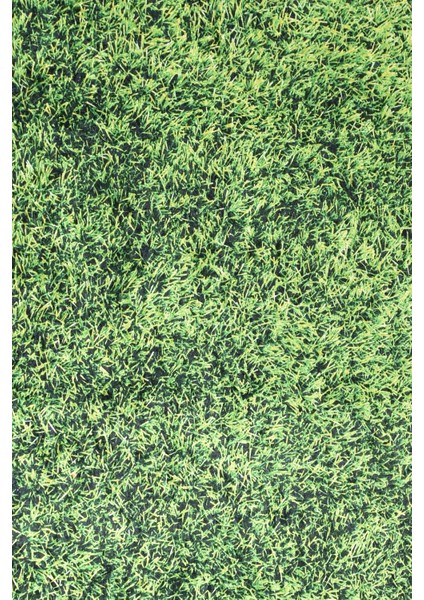 Grass Djt 80X150 cm