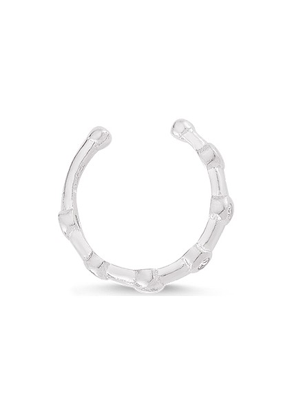 Altınsepeti Gümüş Altı Taşlı Kıkırdak Halka Küpe G184KP fiyatları