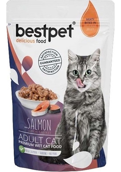 Adult Jelly Pouch Somonlu Kedi Maması 85 gr