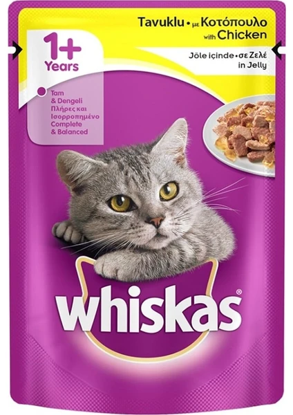 Tavuklu Yetişkin Konserve Kedi Maması 100 gr 6'lı Set