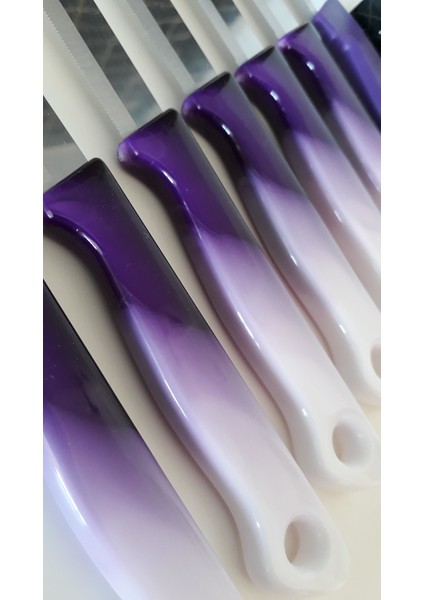 6 Ebruli Mor Meyve Bıçağı ve Mikro Tırtıklı Doğrama Bıçağı Seti fiyatları