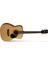 AF510E Opw - Çantalı Elektro Akustik Gitar 1