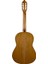 VC404 Klasik Gitar 2