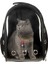Şeffaf Astronot Kırılmaz Kedi Köpek Taşıma Çantası 42 x 22 x 33 cm - Siyah 1