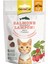 Snacks Crunchy Somon ve Yaban Mersinli Kedi Ödülü 50gr 1