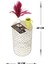 Venon Home Metal Modern Sehpa (300X480) Krem Sarı Patine 2