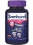 Sambucol Plus Kids Yummies 60 Tablet 1
