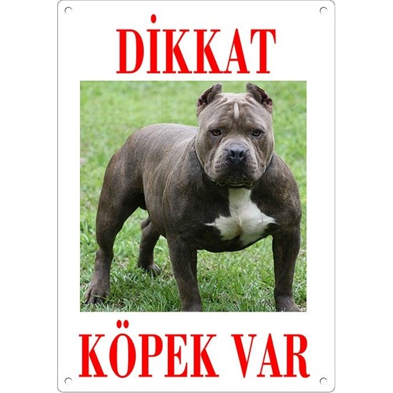 Dali's Dikkat Köpek Var Uyarı Levhası (Renkli Pitbull)