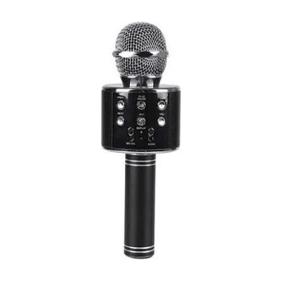 Polygold PG-116 WS858 Karaoke Mikrofon ve Bluetooth Speaker