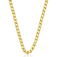 Gumush Gümüş Gold Pullu Arpa Zincir