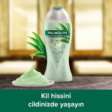 Palmolive Spa Therapy Clay Detox Kil ve Aloe Vera Özü Banyo ve Duş Jeli 2 x 500 ml+ Duş Lifi