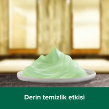 Palmolive Spa Therapy Clay Detox Kil ve Aloe Vera Özü Banyo ve Duş Jeli 500 ml