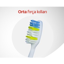 Colgate Extra CleanDil Temizleyicili Arka Dişlere Uzanan Orta Diş Fırçası 2+1