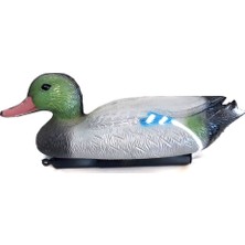 Asil Mühre Fiyo Ördek