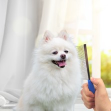 Buffer Tüy Açıcı Kedi Köpek Tarağı Tek Taraflı Metal Dişli Evcil Hayvan Bakım Fırçası