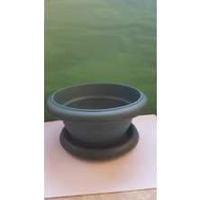 Serinova Menekşe Saksı Villa  1  No