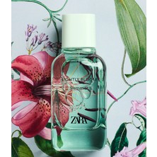 Zara Lightly Bloom Summer 100 ml Kadın Parfüm