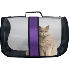 Evene Kedi Taşıma Çantası Flybag Büyük Şeffaf Kedi Köpek Omuz Çantası